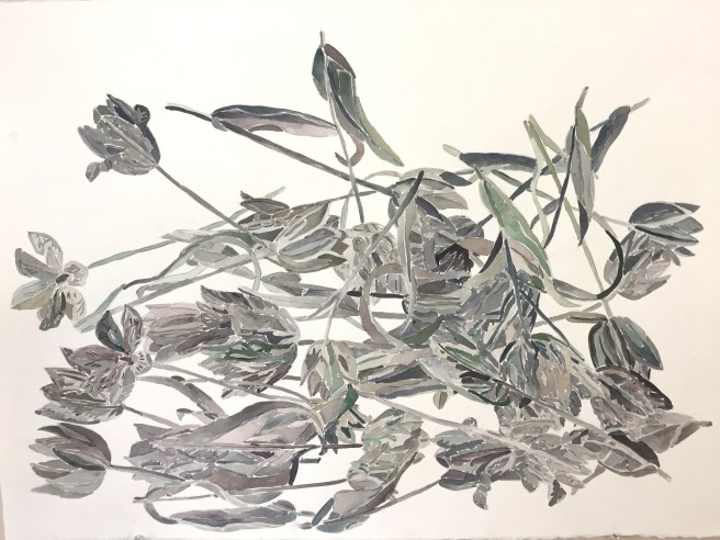 Scatterings (Tulips)